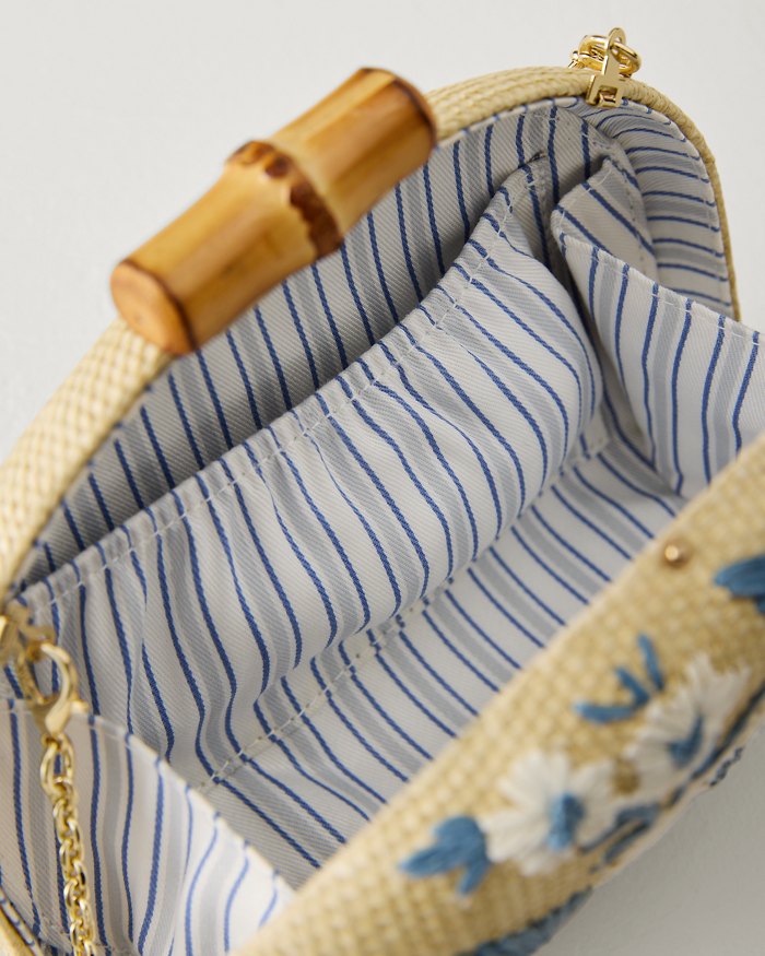 Minaudiere Hamilton Cosmos Clutch