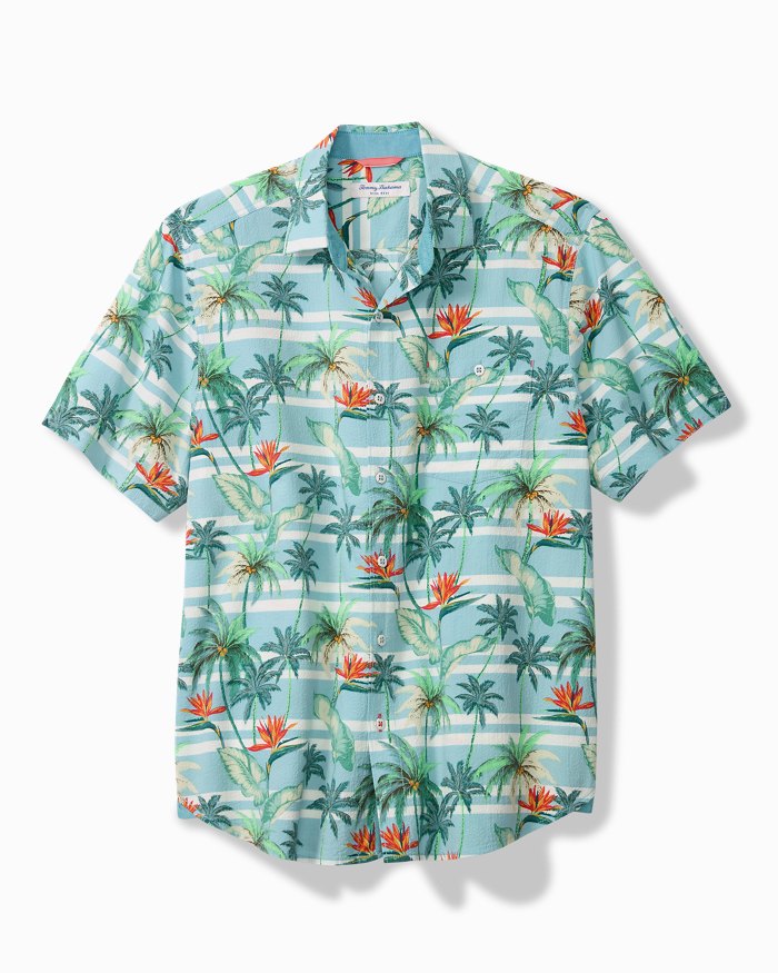 Big & Tall Nova Wave Palmero Stripe Shirt